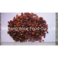 Bulk Packaging Factory Supply Dried Red Raisin Dried Sultana